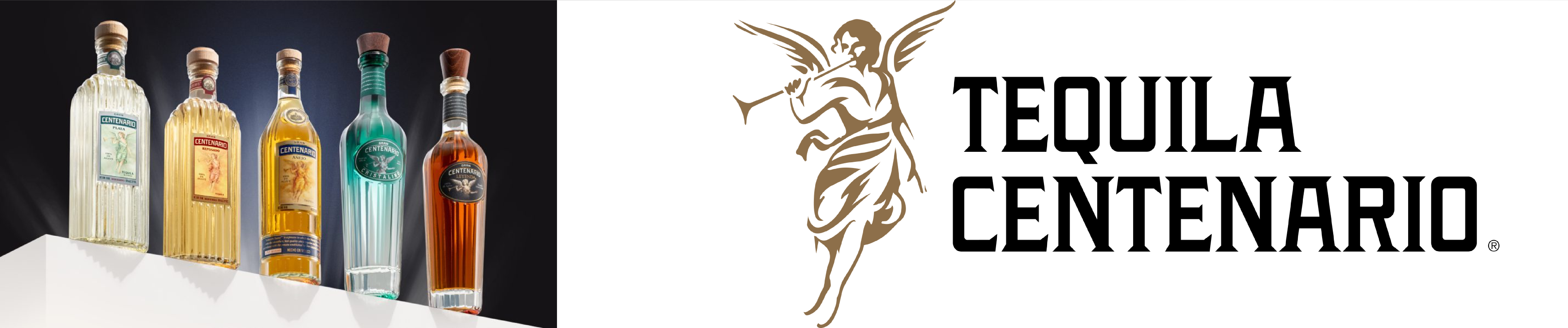 Gran Centenario Banner
